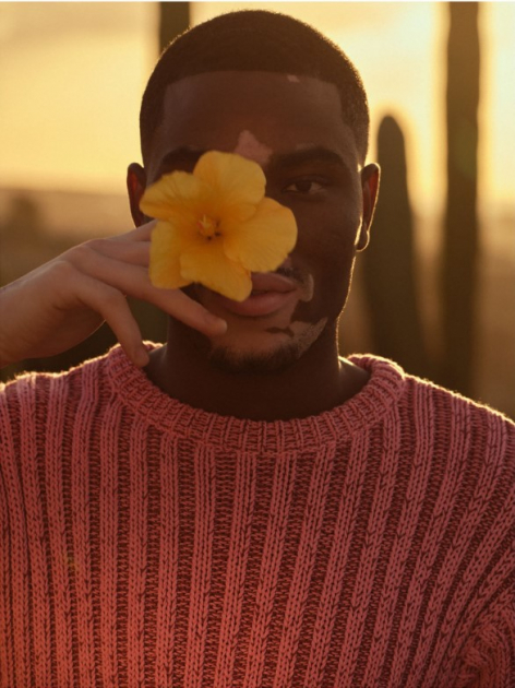 Captured by Andreas Ortner